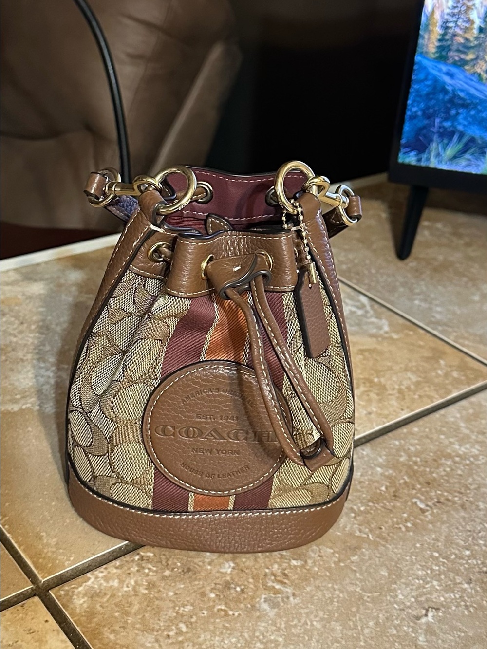 Coach Mini Drawstring Bucket Bag in Brown with Burgundy and Tan Stripes